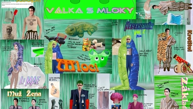 Moodboard Adély Szturcové 1